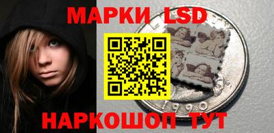 ПСИЛОЦИБИНОВЫЕ ГРИБЫ Гатчина