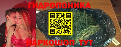 ПСИЛОЦИБИНОВЫЕ ГРИБЫ Гатчина