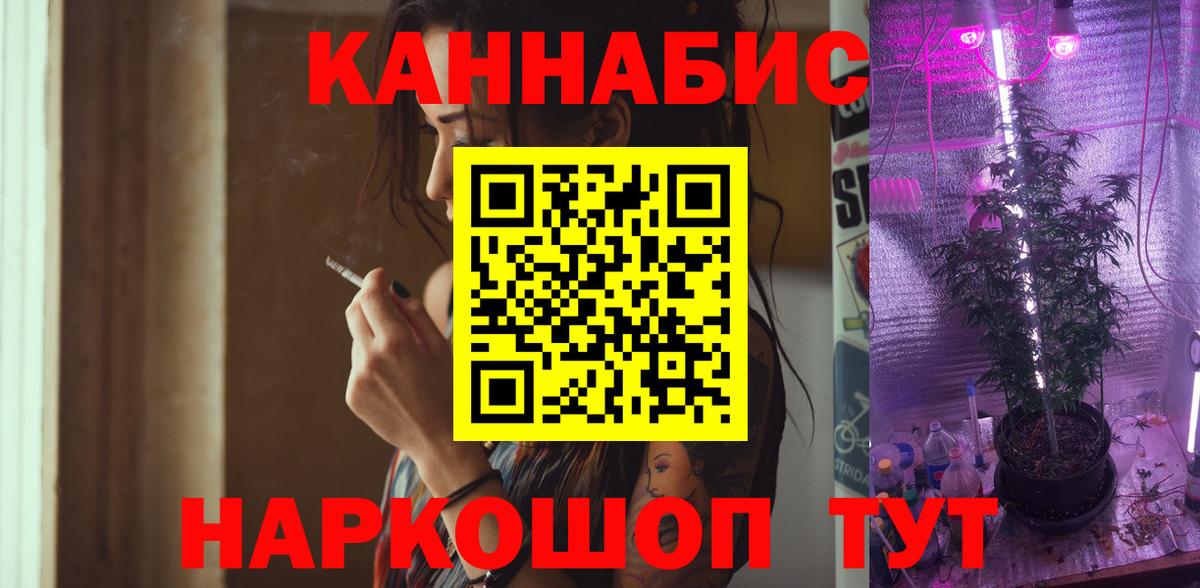 Канабис конопля Кисловодск